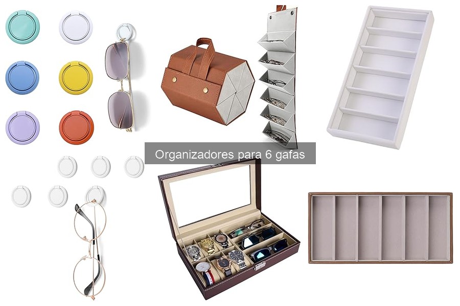Alternativas a los organizadores para 6 gafas: Mejores opciones