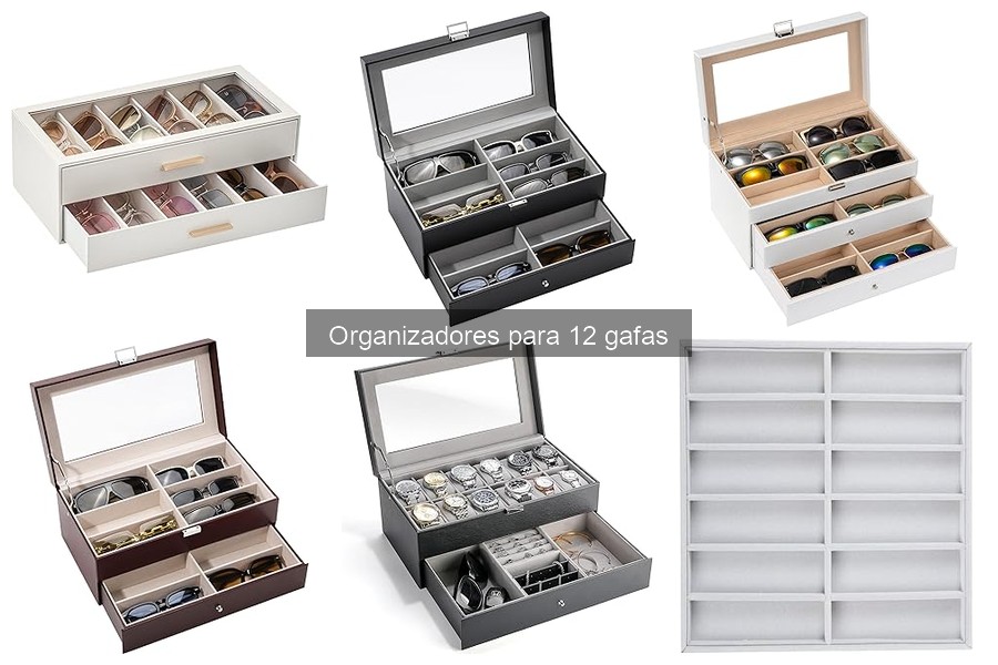 Cómo elegir el mejor organizador para 12 gafas