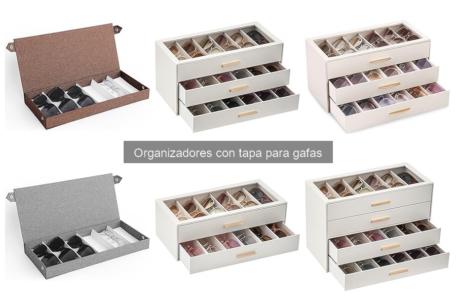 Dónde Comprar Organizadores con Tapa para Gafas a Buen Precio
