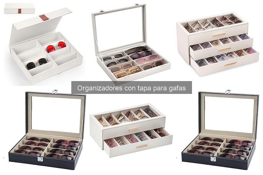Guía de compra de organizadores con tapa para gafas
