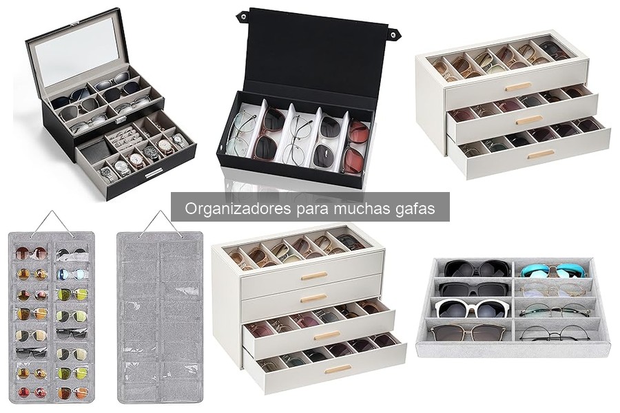 Mejores lugares para comprar organizadores de gafas baratos