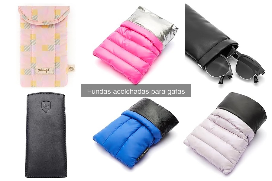 Opiniones sobre fundas acolchadas para gafas populares