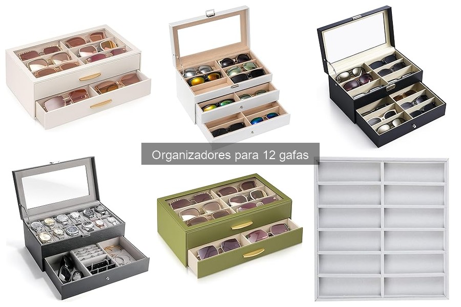 Precios y Dónde Comprar Organizadores para 12 Gafas